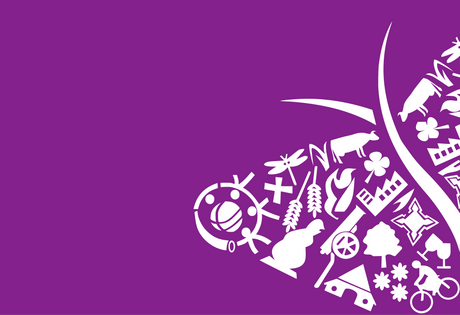 A Colletion of Flags With Butterflies - Featured Image