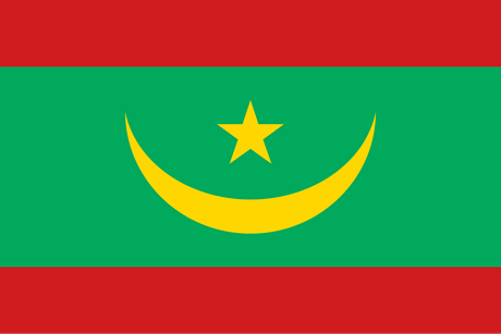 A Guide To Flags Featuring Green, Red & Yellow - Featured Image