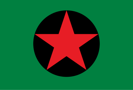 Red, Green and Black Flags - Featured Image