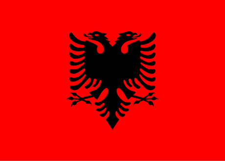 An Infographic About Eagle Flags - Feather Flags Express