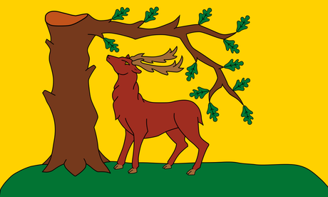 A Guide to Flags With Brown In Them